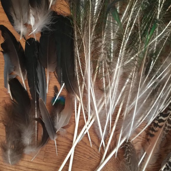 LOT 140 NATURAL PEACOCK BIRD FEATHER BOHO FESTIVAL CRAFT ART HOBBY COSTUME DECOR - Picture 5 of 16
